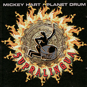 Mickey Hart: Supralingua