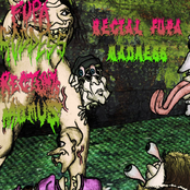Rectal Fupa Madness