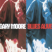 The Sky Is Crying by Gary Moore