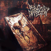 Necessary Bloodshield by Repulsive Dissection