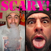 The Joe Rogan Podcast