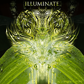 Illuminate