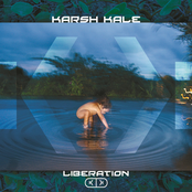 Liberation by Karsh Kale