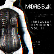 Irregular Revisions Vol. II