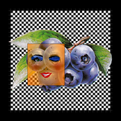 ✖️️o✖️️o