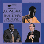 Evil Man Blues by Joe Williams