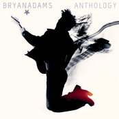 Why Do You Have To Be So Hard To Love by Bryan Adams