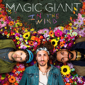Magic Giant: In the Wind