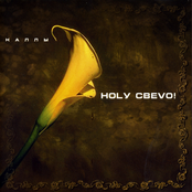 Nogu Svelo: Каллы