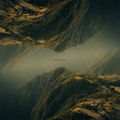 Brief Moment - Single