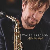 Never Gonna Let You Go by Walle Larsson