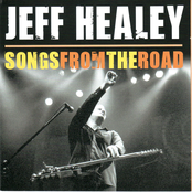 Stop Breaking Down by Jeff Healy