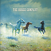 Cover Me Up by The Horse Company