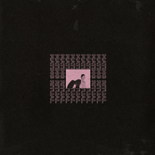 Light Myself on Fire