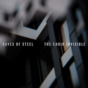 The Choir Invisible