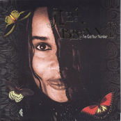 I've Got Your Number