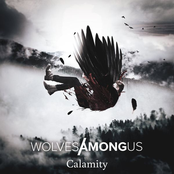 Calamity - Single