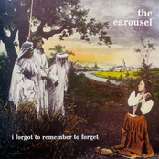 The Carousel: I Forgot to Remember to Forget