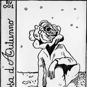 Rosa d'Autunno