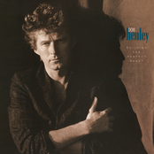 Don Henley: Building the Perfect Beast