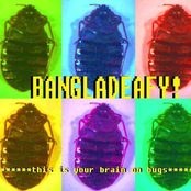 this is your brain on bugs