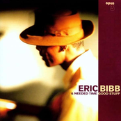 Too Much Whisky by Eric Bibb & Needed Time