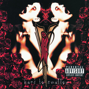 Vanilla Ice: Hard To Swallow