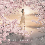Don't Cry - Single