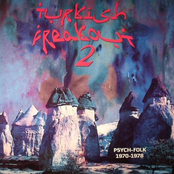 Turkish Freakout 2 (Psych-Folk 1970-1978)