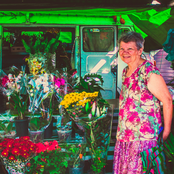 Psilocibinas Alinhadas