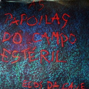 As Papoilas do Campo Estéril