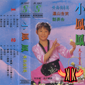 黃梅調專輯
