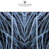 Reflection