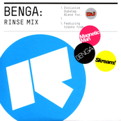 Bassface by Benga & Walsh