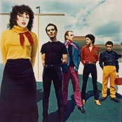 the motels