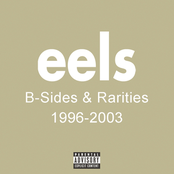 Flyswatter (the Polka Dots Remix) by Eels