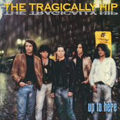 The Tragically Hip: Up to Here