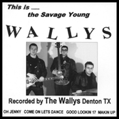 This Is The Savage Young Wallys