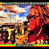 Salut Dla Was by Maleo Reggae Rockers
