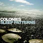 Sleep Patterns by Colonies