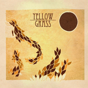 Yellow Grass