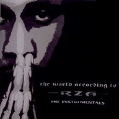 Souls On Fire by Rza