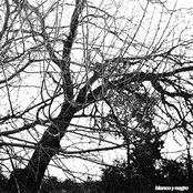 Blanco y Negro