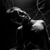 Carolina Crowd Killer