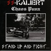 Stand Up and Fight