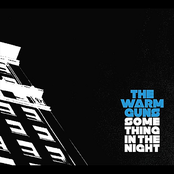 Something in the Night