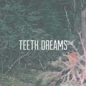 Teeth Dreams