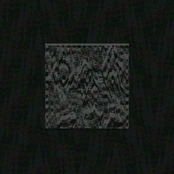 This Is What My Life's Come To