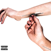 WHAT TO DO WITH YOUR HANDS