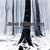 The Emptiness In My Tears by Shroud Of Despondency